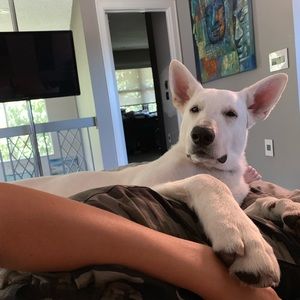 Meet your Posher, Liz